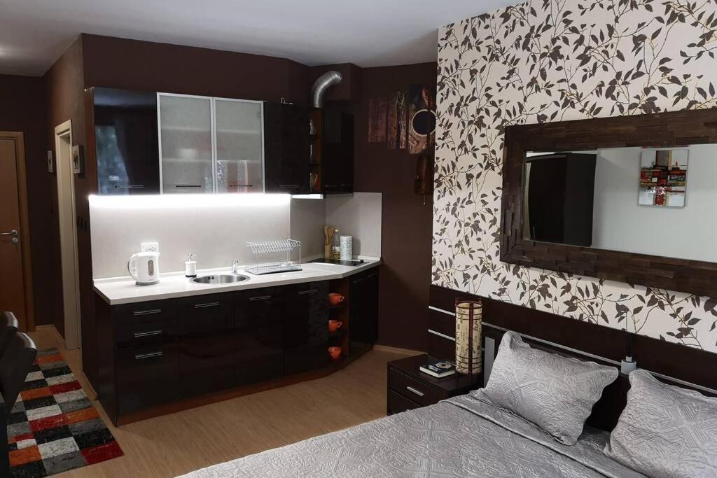 Studio Iceberg Borovets Студио с кухня Екстериор снимка
