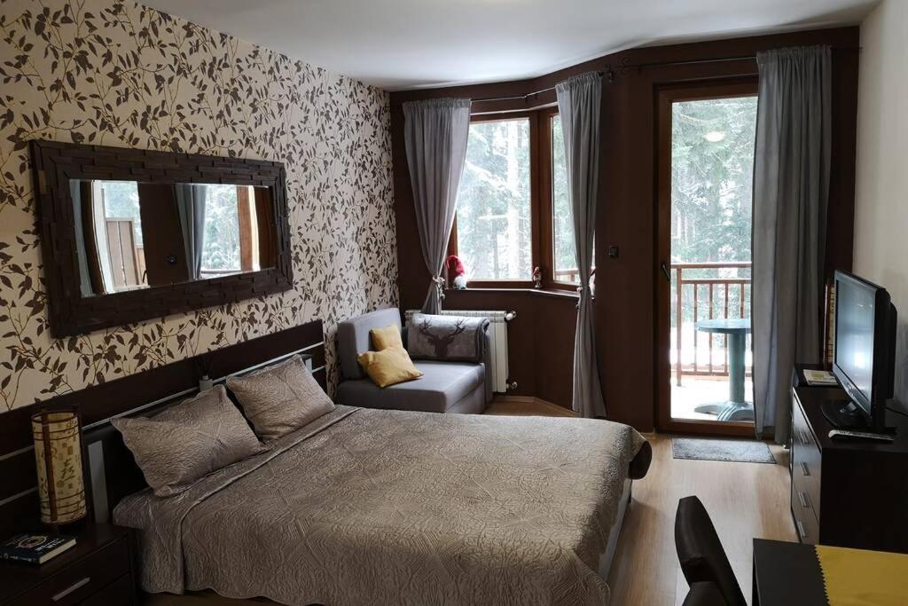 Studio Iceberg Borovets Студио с кухня Екстериор снимка