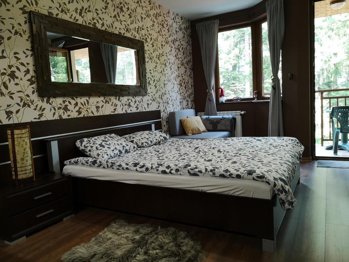 Studio Iceberg Borovets Студио с кухня Екстериор снимка