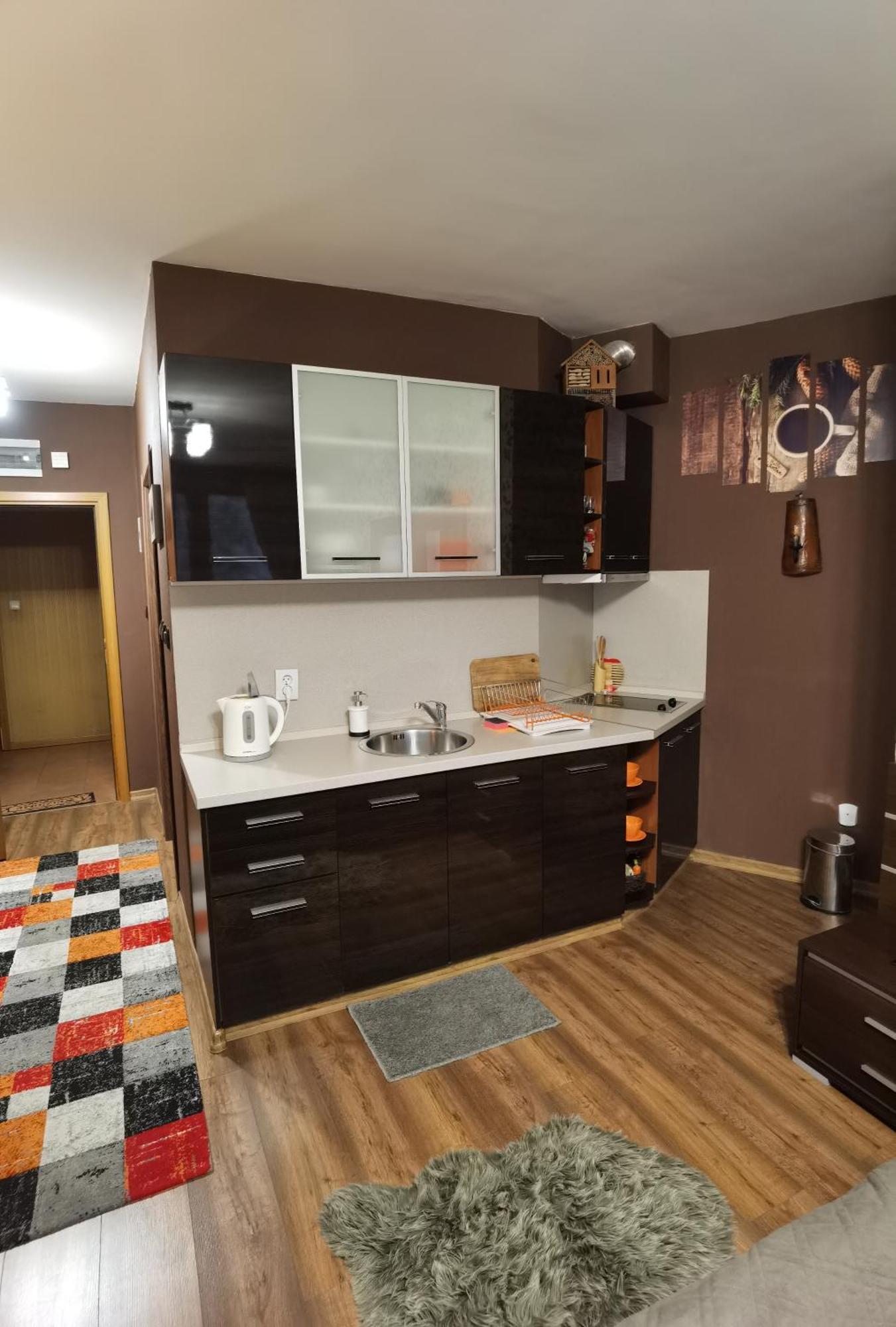 Studio Iceberg Borovets Студио с кухня Екстериор снимка